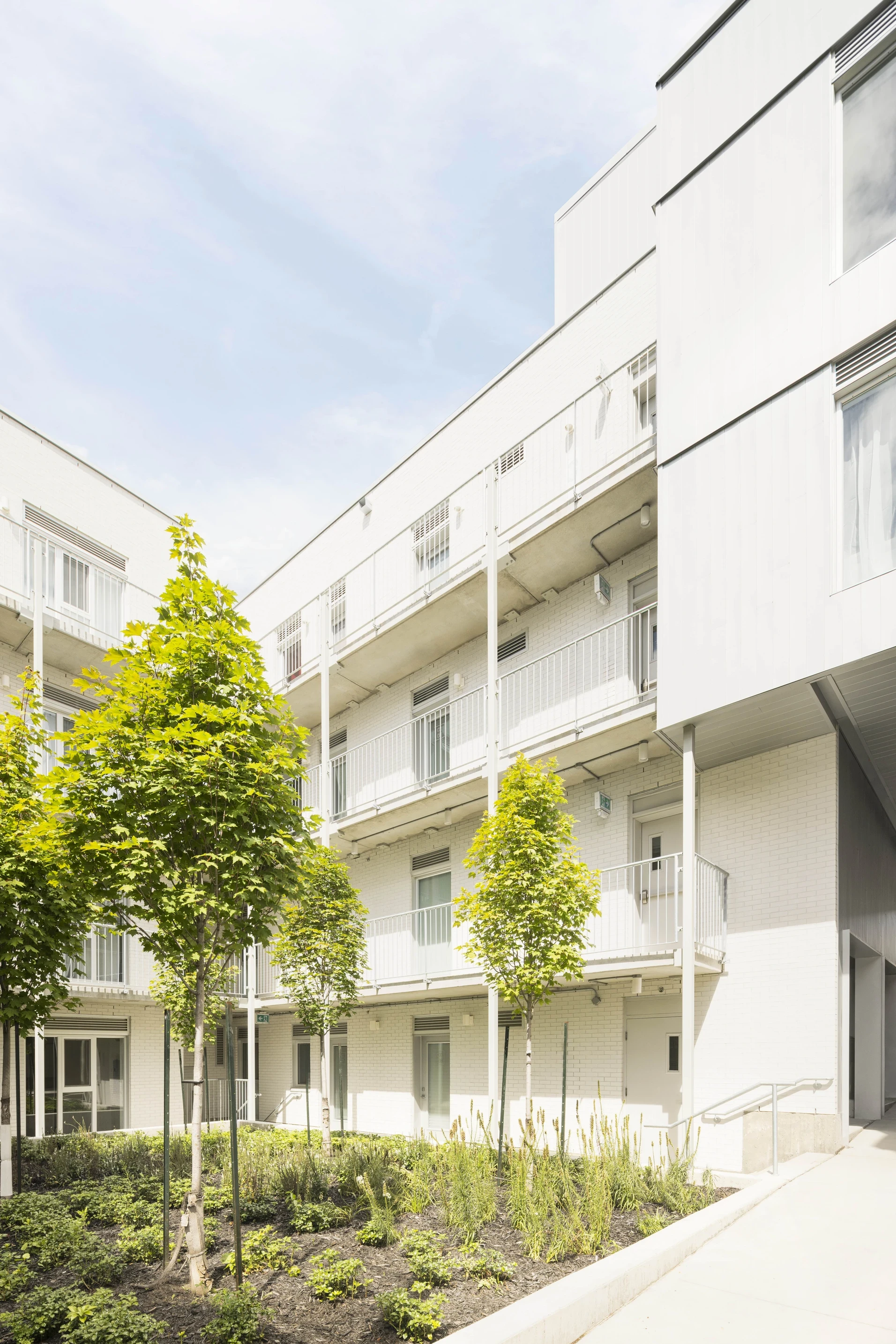 Espace commun végétal du Petit Laurier, conçu pour améliorer le confort résidentiel et la perception haut de gamme du projet immobilier.