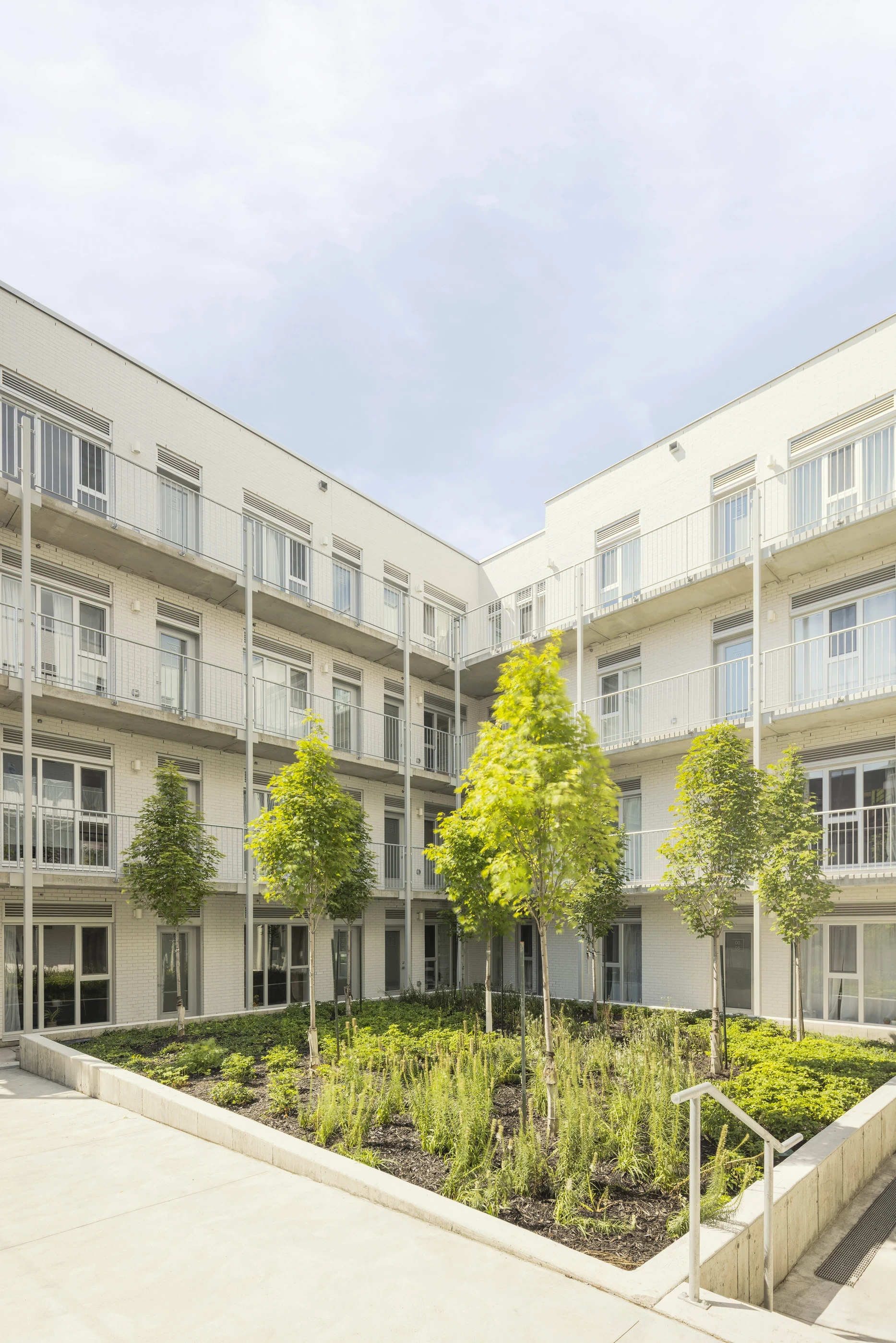 Espace vert intérieur du projet multirésidentiel Le Petit Laurier, favorisant la lumière naturelle, l’intimité et l’attractivité locative.